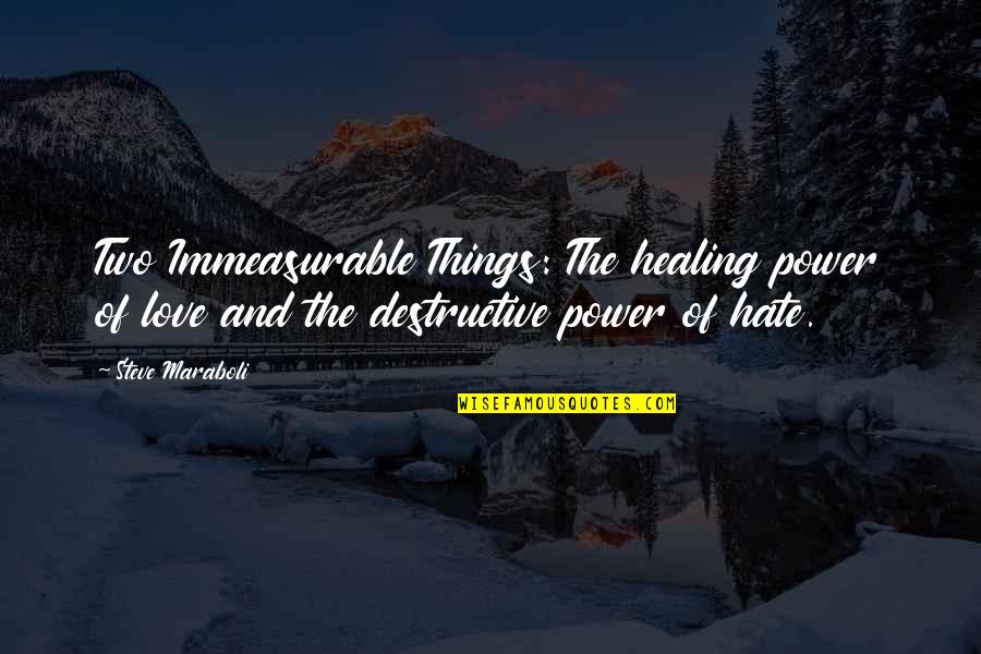 Menear Quotes By Steve Maraboli: Two Immeasurable Things: The healing power of love