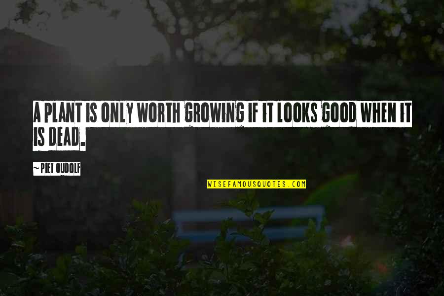 Mengabdi Di Quotes By Piet Oudolf: A plant is only worth growing if it