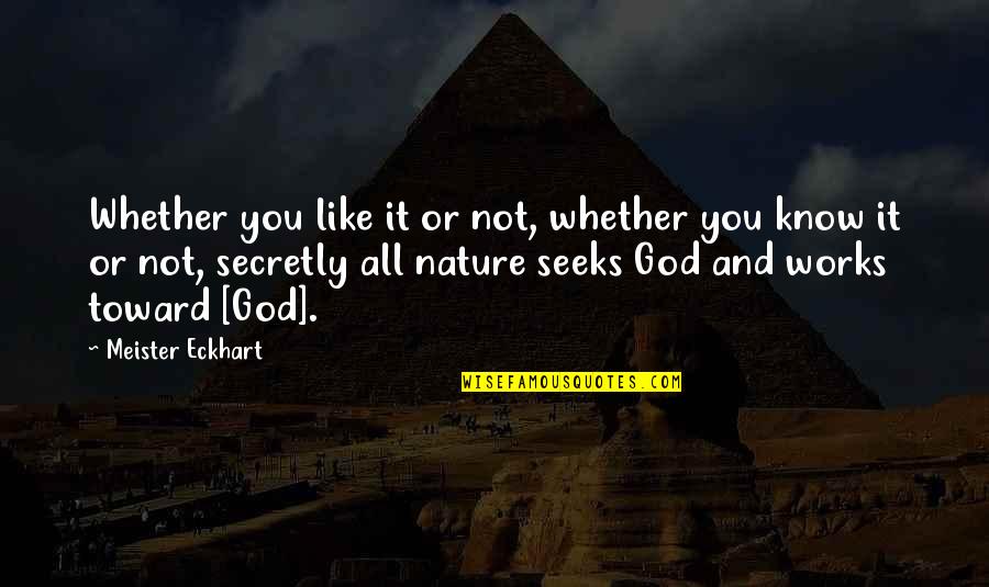 Mengajak In English Quotes By Meister Eckhart: Whether you like it or not, whether you