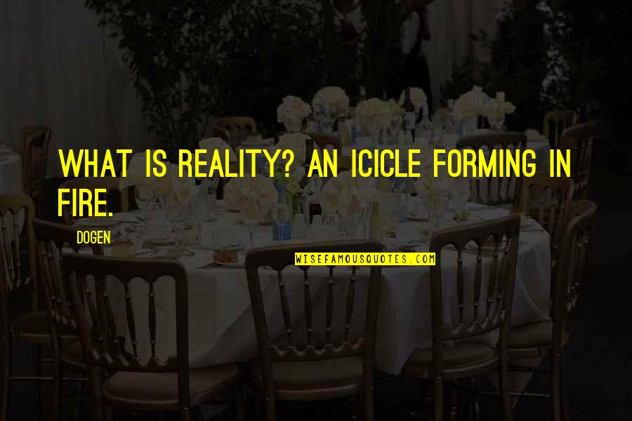 Mengamuk Kbbi Quotes By Dogen: What is reality? An icicle forming in fire.