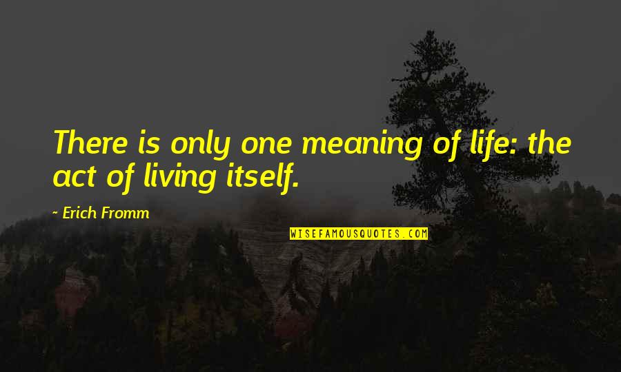 Mengeles Medical Experiments Quotes By Erich Fromm: There is only one meaning of life: the