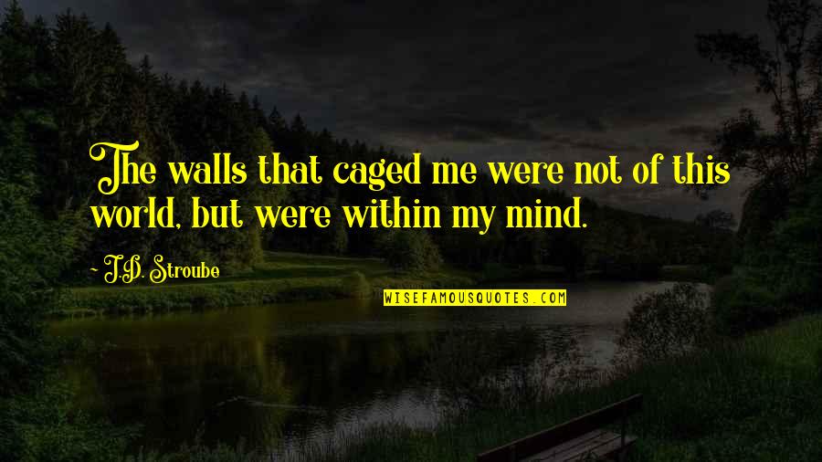 Mengenal Potensi Quotes By J.D. Stroube: The walls that caged me were not of