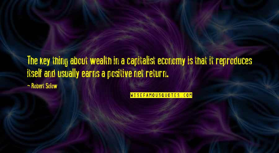 Menghambat Quotes By Robert Solow: The key thing about wealth in a capitalist