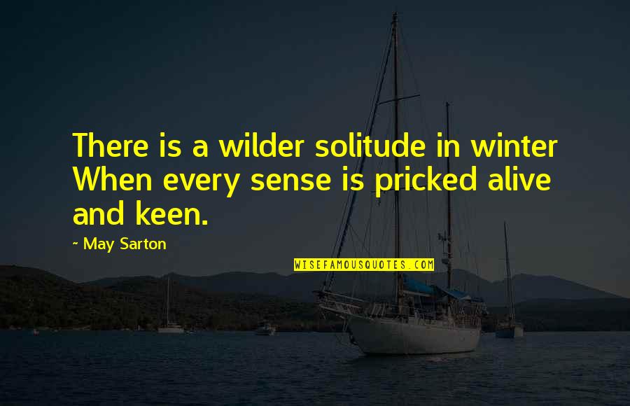 Menghani Ravi Quotes By May Sarton: There is a wilder solitude in winter When