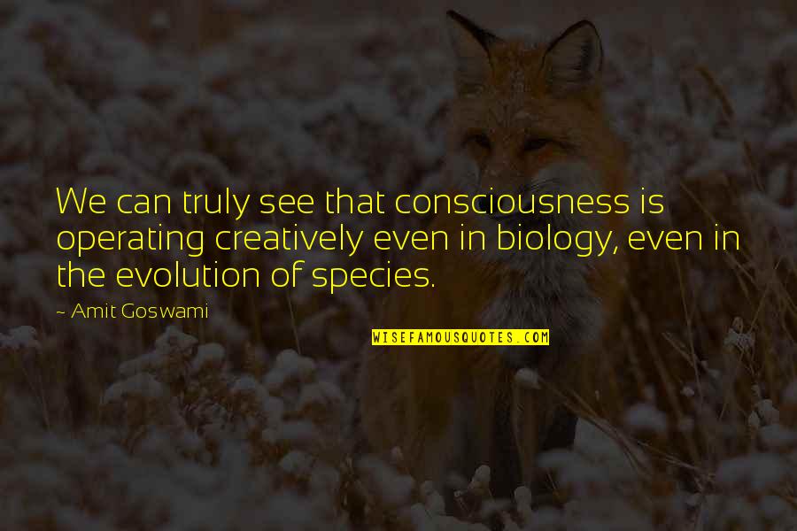 Menghargai Quotes By Amit Goswami: We can truly see that consciousness is operating