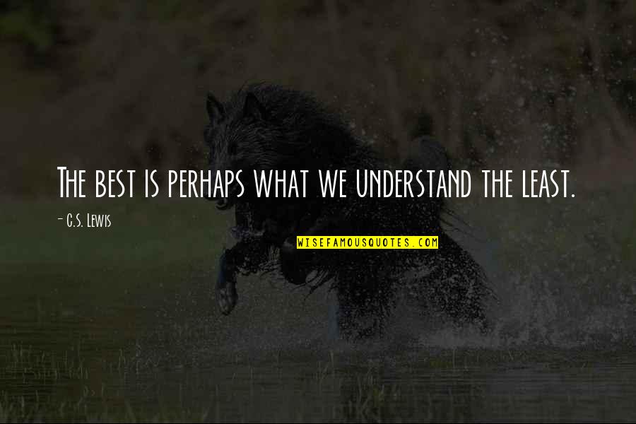 Mengusap Perut Quotes By C.S. Lewis: The best is perhaps what we understand the