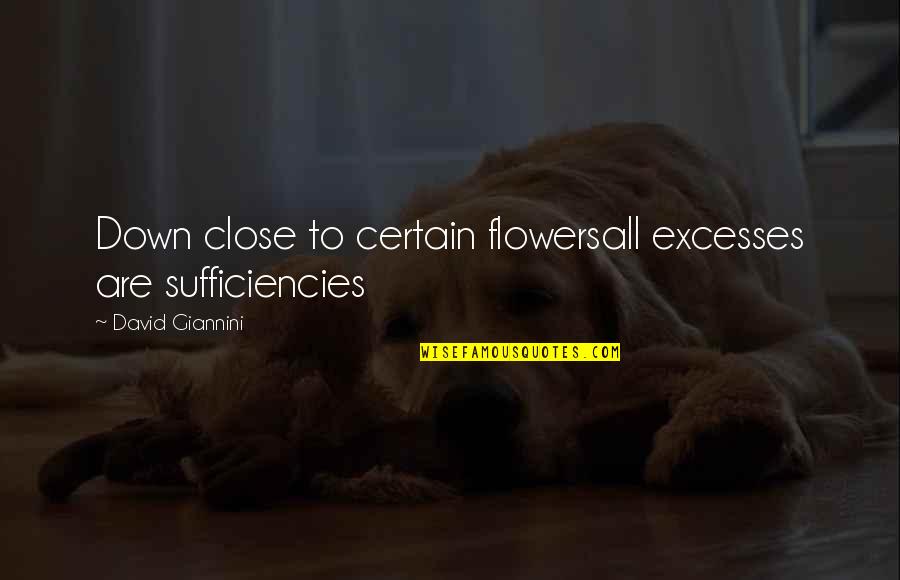 Menjauhi Perbuatan Quotes By David Giannini: Down close to certain flowersall excesses are sufficiencies