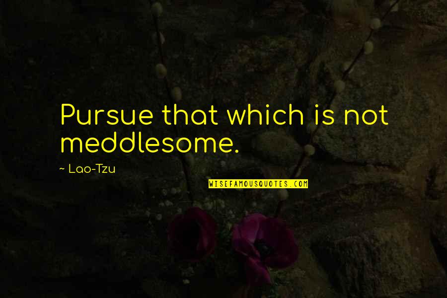 Menjawab Adzan Quotes By Lao-Tzu: Pursue that which is not meddlesome.