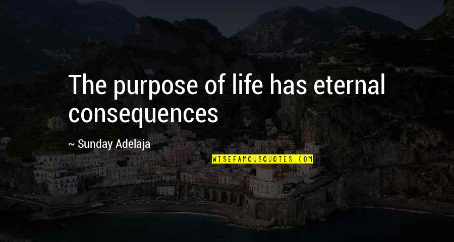 Menken Quotes By Sunday Adelaja: The purpose of life has eternal consequences