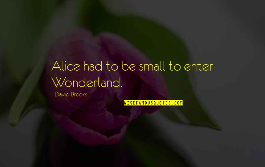 Menkind Quotes By David Brooks: Alice had to be small to enter Wonderland.