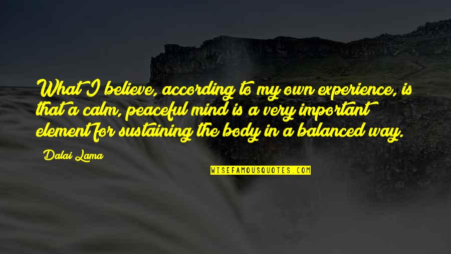 Menking Quotes By Dalai Lama: What I believe, according to my own experience,