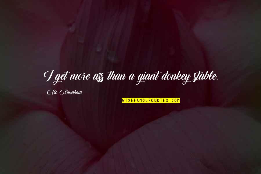 Menolly Reyes Quotes By Bo Burnham: I get more ass than a giant donkey Menolly Reyes Quotes By Bo Burnham: I get more ass than a giant donkey