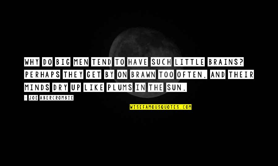 Men's Brains Quotes By Joe Abercrombie: Why do big men tend to have such Men's Brains Quotes By Joe Abercrombie: Why do big men tend to have such