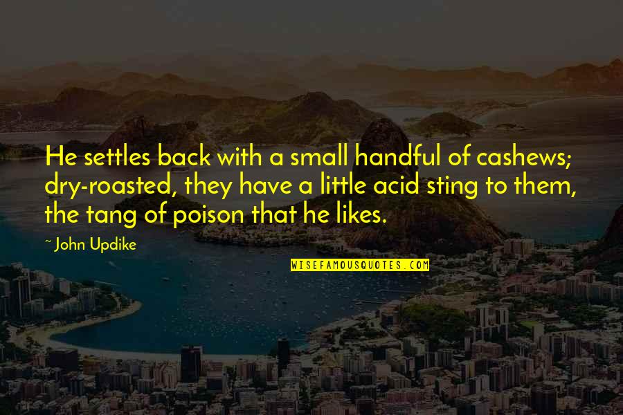 Mental Challenges Quotes By John Updike: He settles back with a small handful of Mental Challenges Quotes By John Updike: He settles back with a small handful of