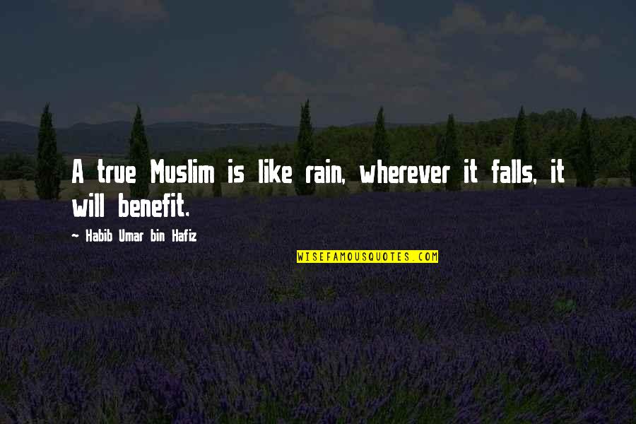 Mental Health Drowning Quotes By Habib Umar Bin Hafiz: A true Muslim is like rain, wherever it Mental Health Drowning Quotes By Habib Umar Bin Hafiz: A true Muslim is like rain, wherever it