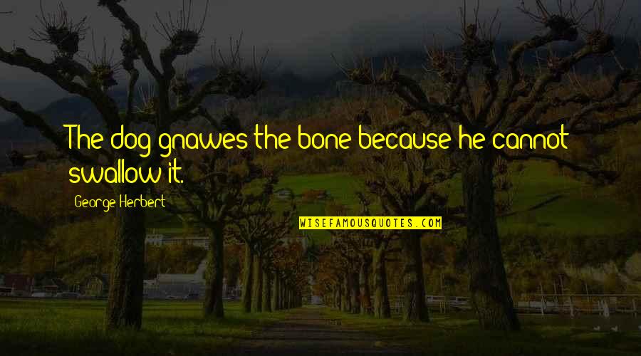 Mental Health Related Quotes By George Herbert: The dog gnawes the bone because he cannot