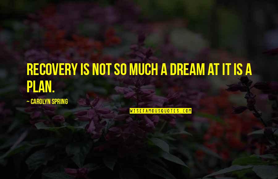 Mental Illness And Recovery Quotes By Carolyn Spring: Recovery is not so much a dream at