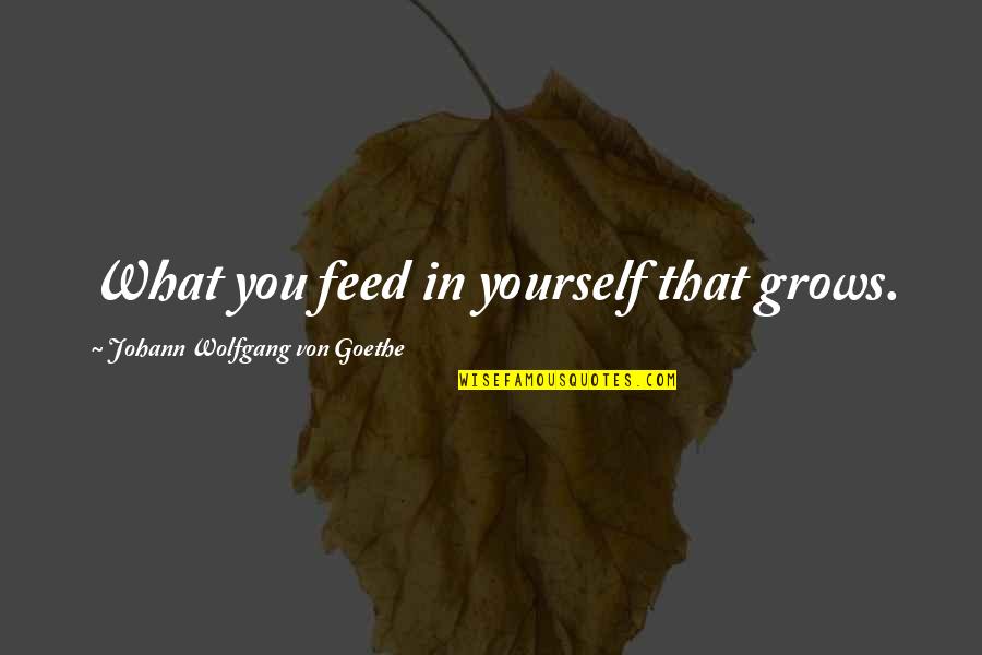 Mental State Of Mind Quotes By Johann Wolfgang Von Goethe: What you feed in yourself that grows. Mental State Of Mind Quotes By Johann Wolfgang Von Goethe: What you feed in yourself that grows.