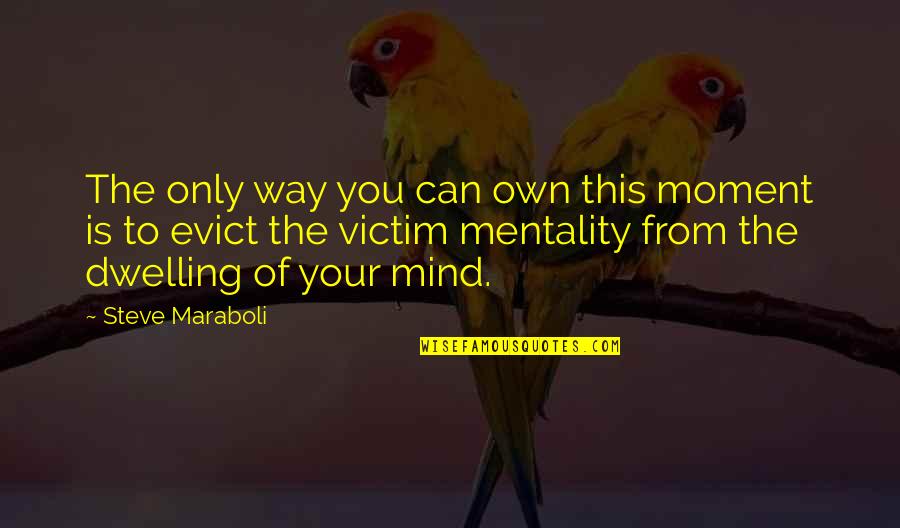 Mentality Quotes By Steve Maraboli: The only way you can own this moment