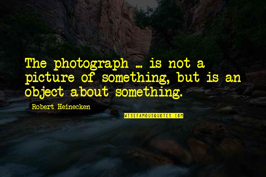 Mentigo Quotes By Robert Heinecken: The photograph ... is not a picture of