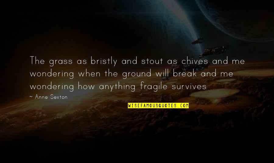 Mentors And Masters Quotes By Anne Sexton: The grass as bristly and stout as chives Mentors And Masters Quotes By Anne Sexton: The grass as bristly and stout as chives