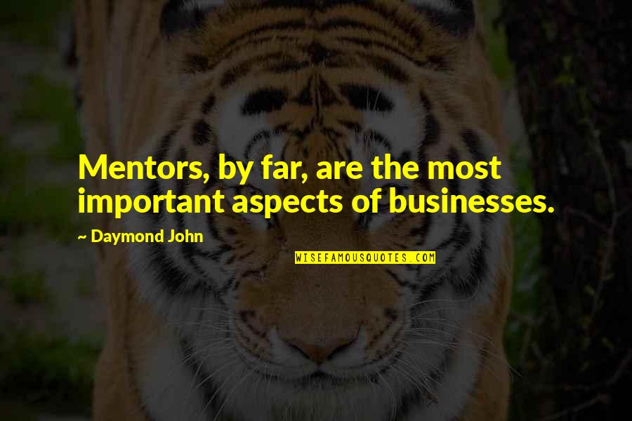 Mentors Quotes By Daymond John: Mentors, by far, are the most important aspects