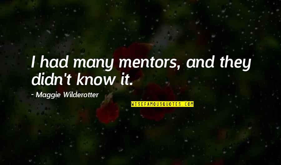 Mentors Quotes By Maggie Wilderotter: I had many mentors, and they didn't know
