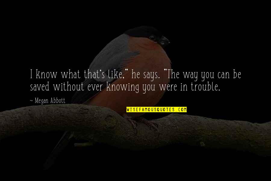 Mentuccia Calamintha Quotes By Megan Abbott: I know what that's like," he says. "The Mentuccia Calamintha Quotes By Megan Abbott: I know what that's like," he says. "The