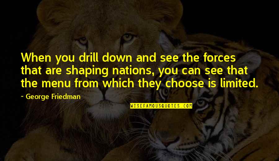 Menu Quotes By George Friedman: When you drill down and see the forces