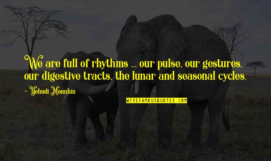 Menuhin Quotes By Yehudi Menuhin: We are full of rhythms ... our pulse,