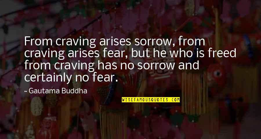 Menyendiri Lagi Quotes By Gautama Buddha: From craving arises sorrow, from craving arises fear, Menyendiri Lagi Quotes By Gautama Buddha: From craving arises sorrow, from craving arises fear,