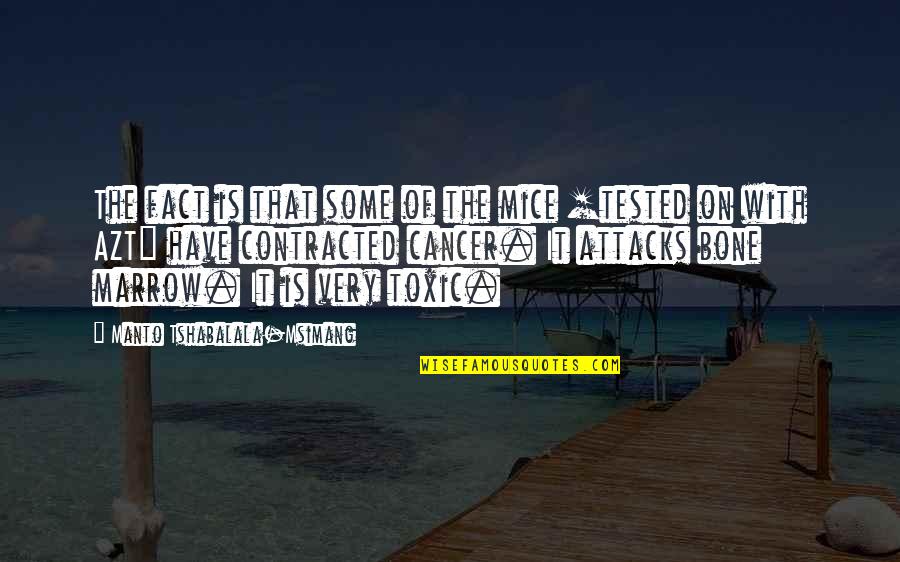 Menyengir Quotes By Manto Tshabalala-Msimang: The fact is that some of the mice Menyengir Quotes By Manto Tshabalala-Msimang: The fact is that some of the mice
