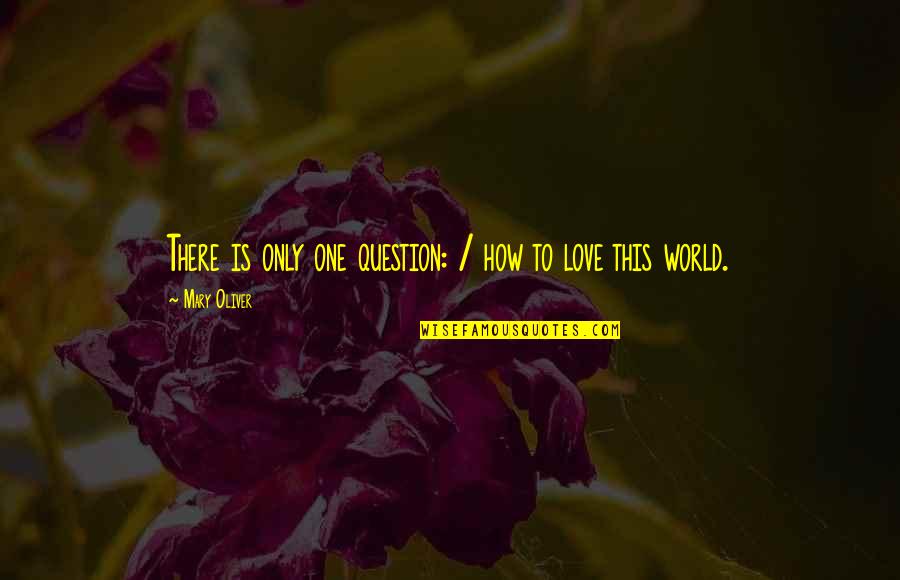 Menyerah Quotes By Mary Oliver: There is only one question: / how to