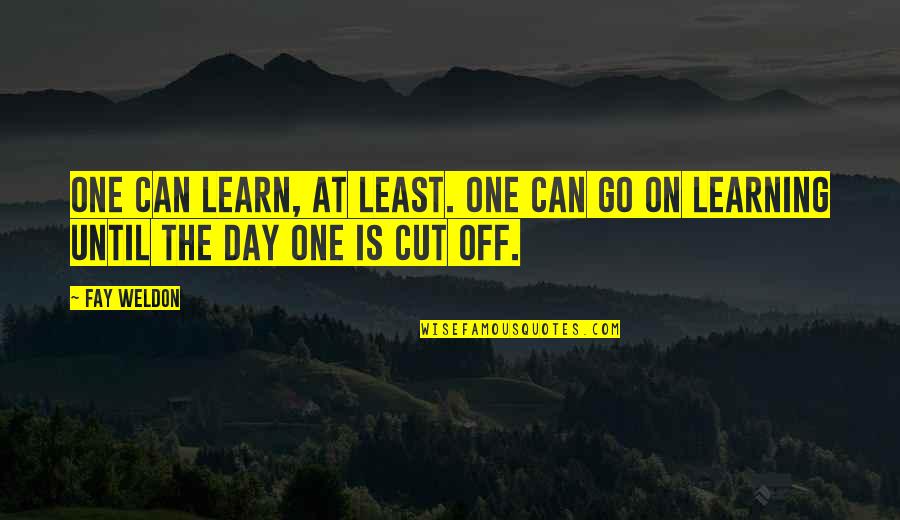 Menyikapi Kehilangan Quotes By Fay Weldon: One can learn, at least. One can go