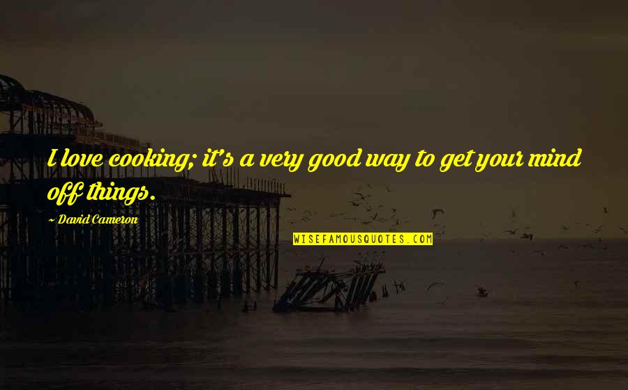 Menyuburkan Minda Quotes By David Cameron: I love cooking; it's a very good way