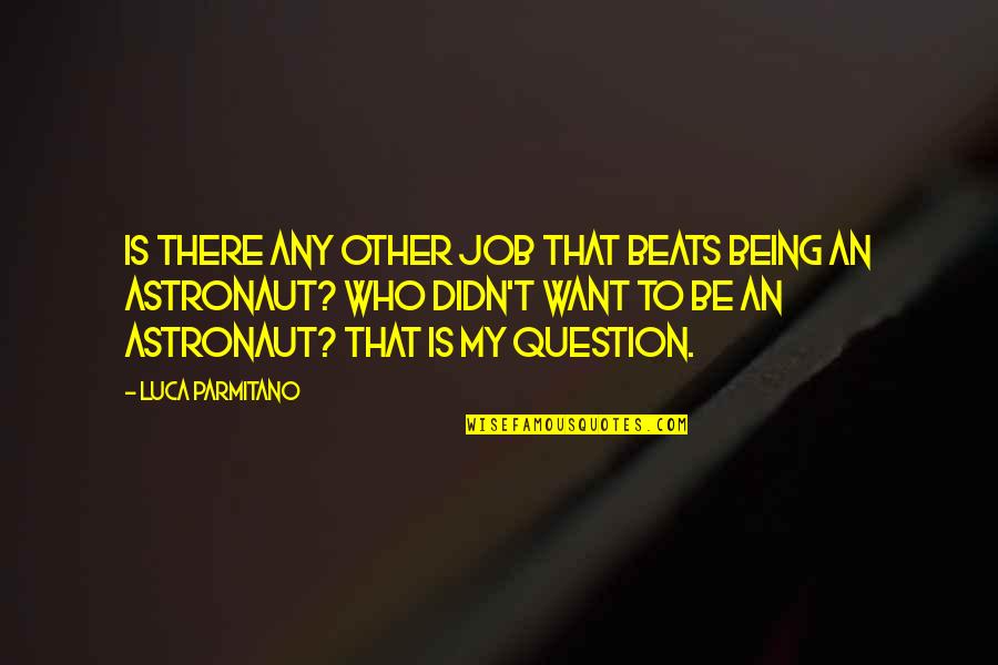 Menzingers Quotes By Luca Parmitano: Is there any other job that beats being