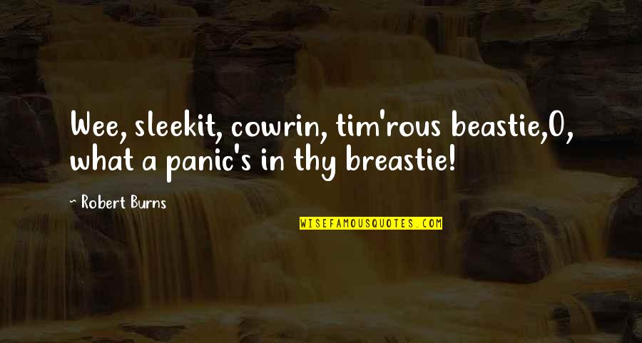 Meoness Quotes By Robert Burns: Wee, sleekit, cowrin, tim'rous beastie,O, what a panic's