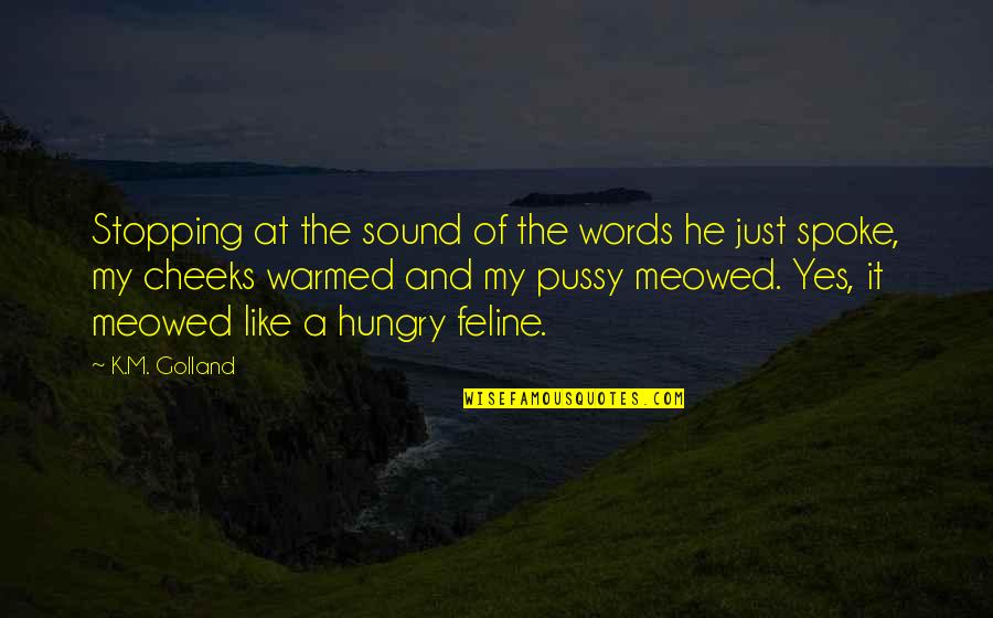 Meowed Quotes By K.M. Golland: Stopping at the sound of the words he