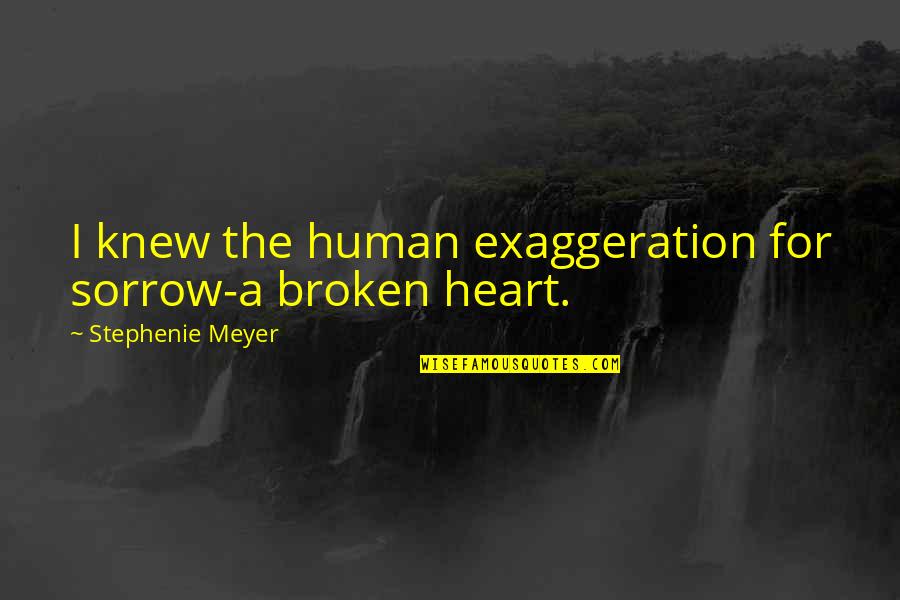 Mepriser Def Quotes By Stephenie Meyer: I knew the human exaggeration for sorrow-a broken