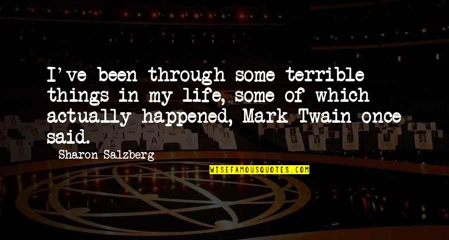 Mer And Cristina Quotes By Sharon Salzberg: I've been through some terrible things in my