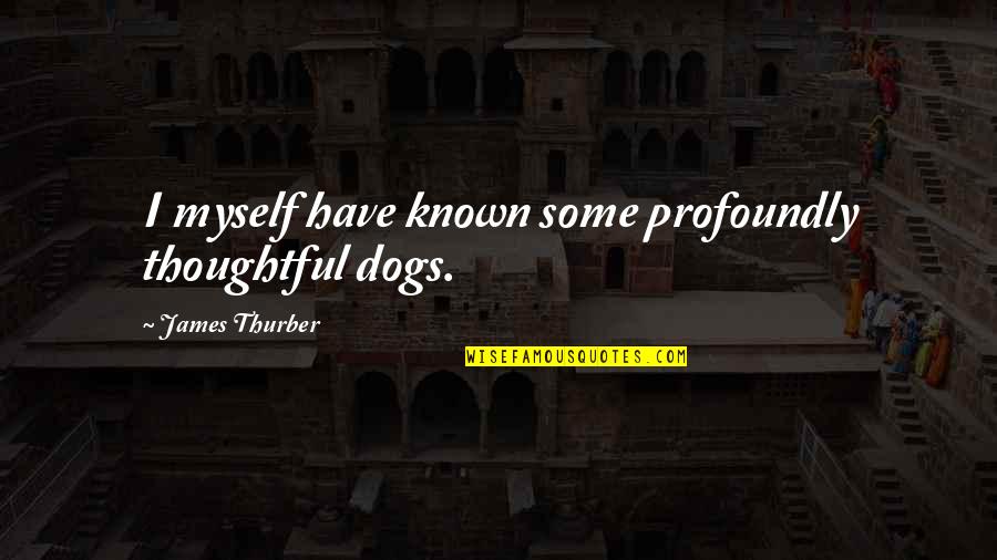 Merano Cello Quotes By James Thurber: I myself have known some profoundly thoughtful dogs. Merano Cello Quotes By James Thurber: I myself have known some profoundly thoughtful dogs.