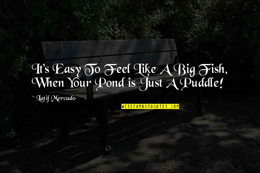 Mercado Quotes By Latif Mercado: It's Easy To Feel Like A Big Fish,