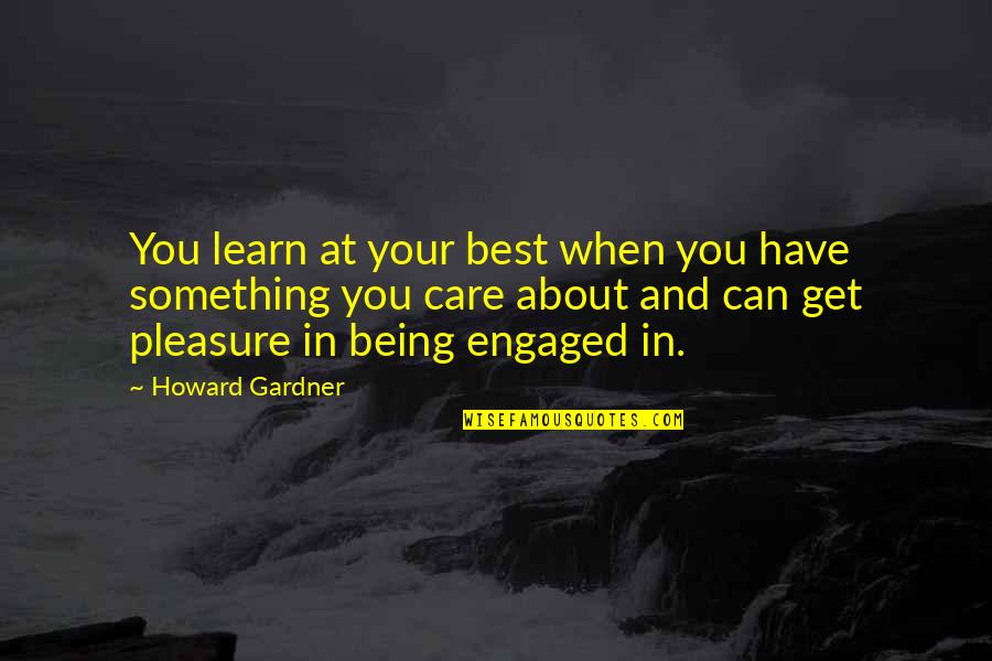 Mercer Infection Quotes By Howard Gardner: You learn at your best when you have Mercer Infection Quotes By Howard Gardner: You learn at your best when you have