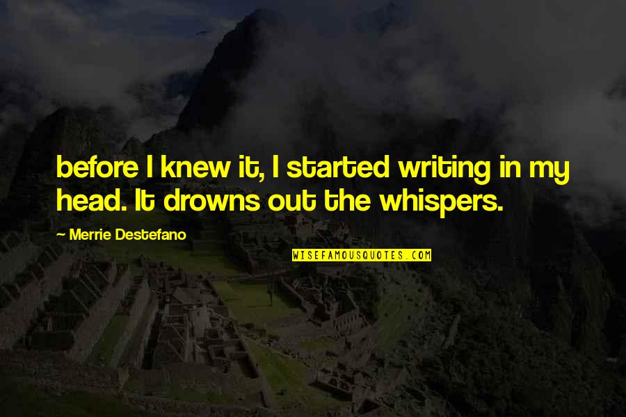 Merchandised Quotes By Merrie Destefano: before I knew it, I started writing in