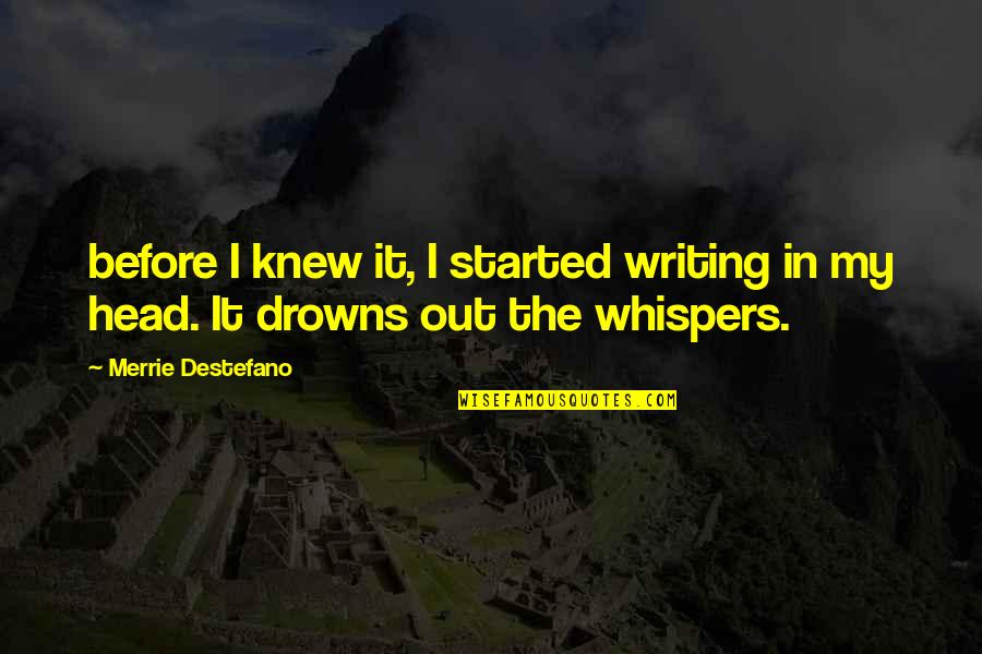 Merchandised Quotes By Merrie Destefano: before I knew it, I started writing in Merchandised Quotes By Merrie Destefano: before I knew it, I started writing in
