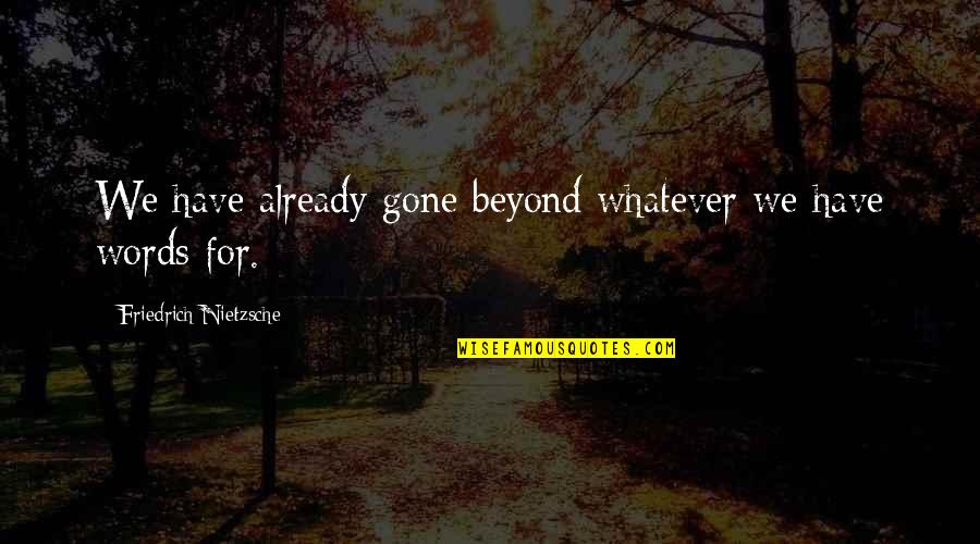 Merchantry Quotes By Friedrich Nietzsche: We have already gone beyond whatever we have