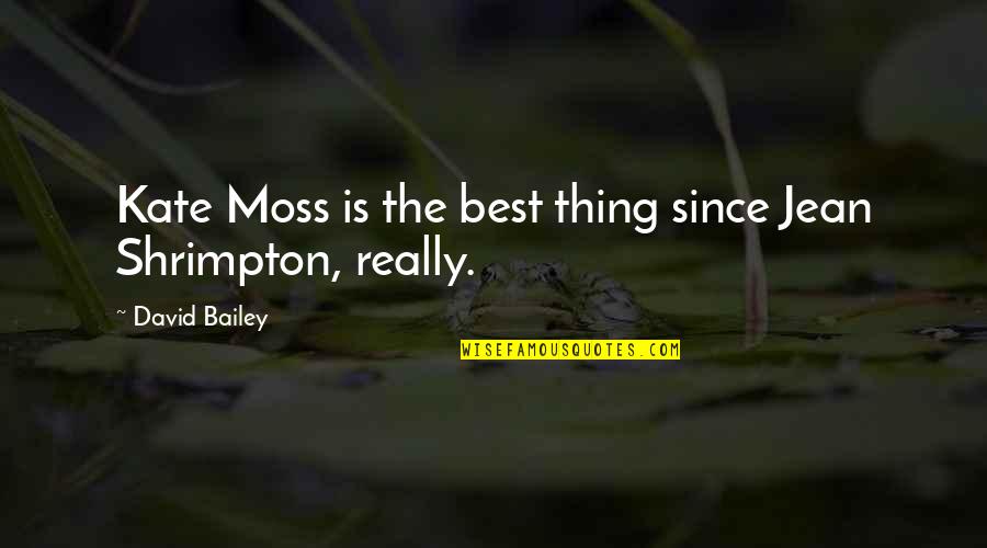 Mercury Poisoning Quotes By David Bailey: Kate Moss is the best thing since Jean Mercury Poisoning Quotes By David Bailey: Kate Moss is the best thing since Jean
