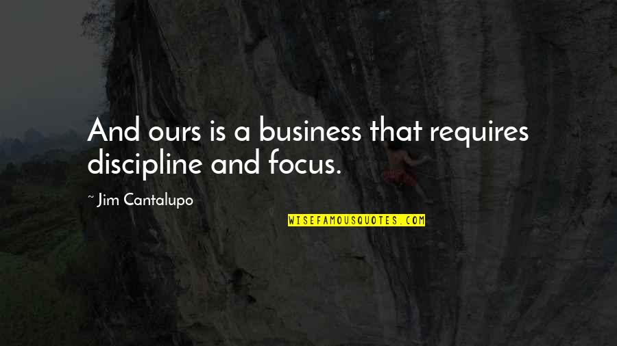 Mercury Poisoning Quotes By Jim Cantalupo: And ours is a business that requires discipline Mercury Poisoning Quotes By Jim Cantalupo: And ours is a business that requires discipline