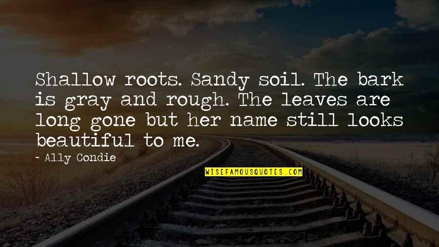 Mercutio Queen Mab Quotes By Ally Condie: Shallow roots. Sandy soil. The bark is gray