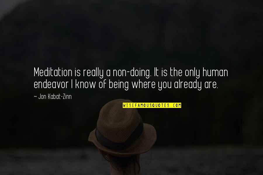 Merde Actually Quotes By Jon Kabat-Zinn: Meditation is really a non-doing. It is the Merde Actually Quotes By Jon Kabat-Zinn: Meditation is really a non-doing. It is the
